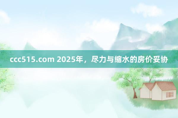ccc515.com 2025年，尽力与缩水的房价妥协