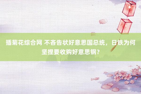 插菊花综合网 不吝告状好意思国总统，日铁为何坚捏要收购好意思钢？