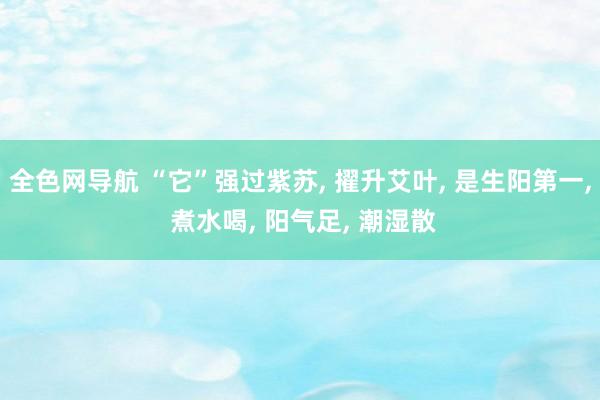 全色网导航 “它”强过紫苏， 擢升艾叶， 是生阳第一， 煮水喝， 阳气足， 潮湿散