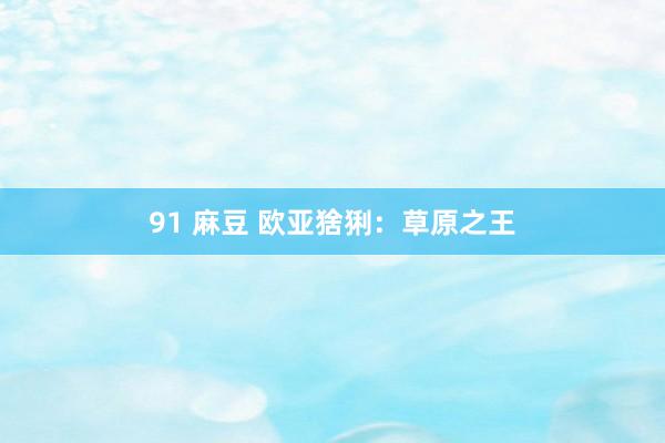 91 麻豆 欧亚猞猁：草原之王