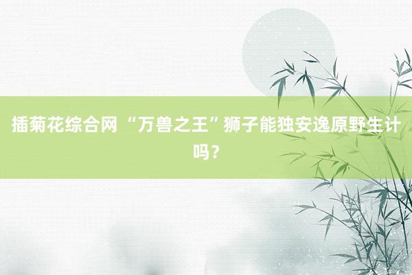 插菊花综合网 “万兽之王”狮子能独安逸原野生计吗？