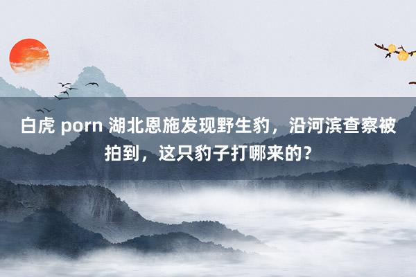 白虎 porn 湖北恩施发现野生豹，沿河滨查察被拍到，这只豹子打哪来的？