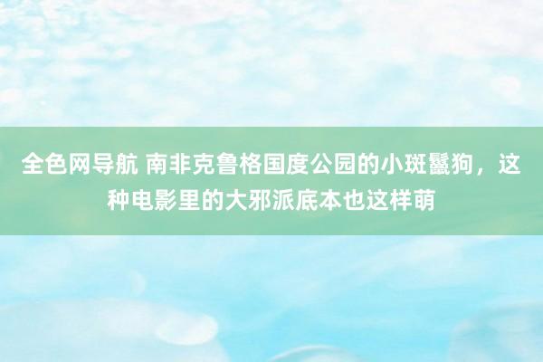 全色网导航 南非克鲁格国度公园的小斑鬣狗，这种电影里的大邪派底本也这样萌