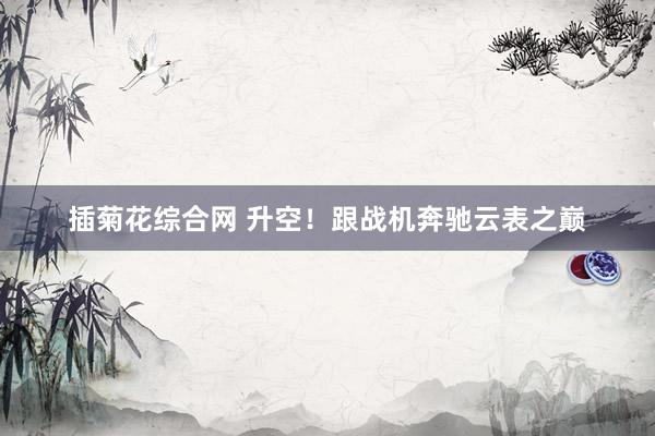 插菊花综合网 升空！跟战机奔驰云表之巅