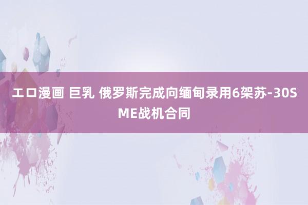 エロ漫画 巨乳 俄罗斯完成向缅甸录用6架苏-30SME战机合同
