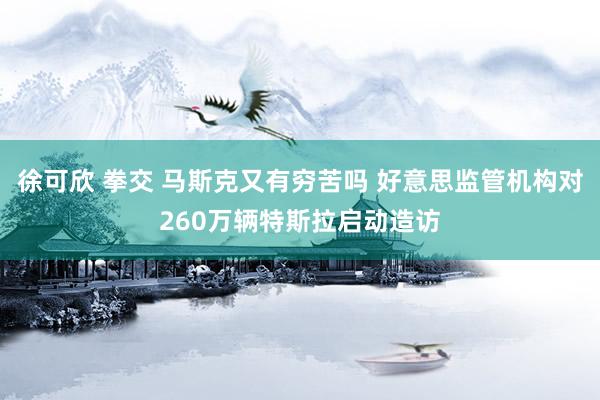 徐可欣 拳交 马斯克又有穷苦吗 好意思监管机构对260万辆特斯拉启动造访