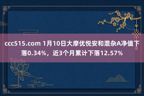 ccc515.com 1月10日大摩优悦安和混杂A净值下落0.34%，近3个月累计下落12.57%