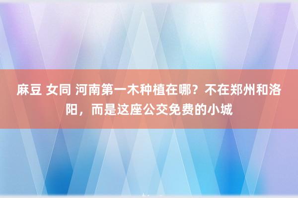 麻豆 女同 河南第一木种植在哪？不在郑州和洛阳，而是这座公交免费的小城