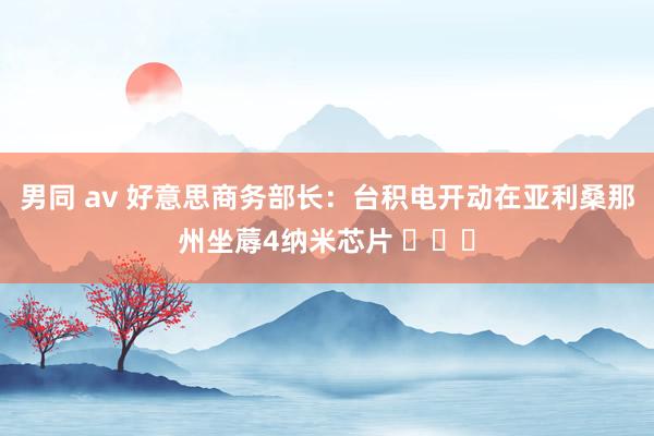 男同 av 好意思商务部长:台积电开动在亚利桑那州坐蓐4纳米芯片 