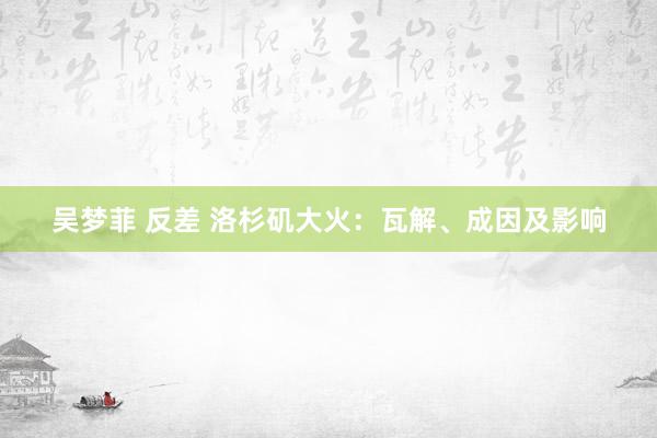 吴梦菲 反差 洛杉矶大火：瓦解、成因及影响