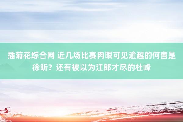 插菊花综合网 近几场比赛肉眼可见逾越的何啻是徐昕？还有被以为江郎才尽的杜峰