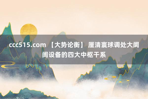 ccc515.com 【大势论衡】 厘清寰球调处大阛阓设备的四大中枢干系