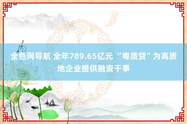 全色网导航 全年789.65亿元 “粤质贷”为高质地企业提供融资干事