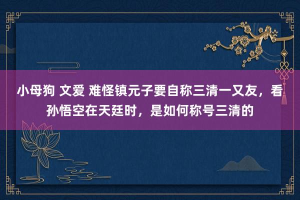 小母狗 文爱 难怪镇元子要自称三清一又友，看孙悟空在天廷时，是如何称号三清的
