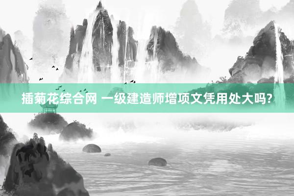 插菊花综合网 一级建造师增项文凭用处大吗?