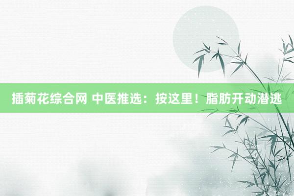插菊花综合网 中医推选：按这里！脂肪开动潜逃