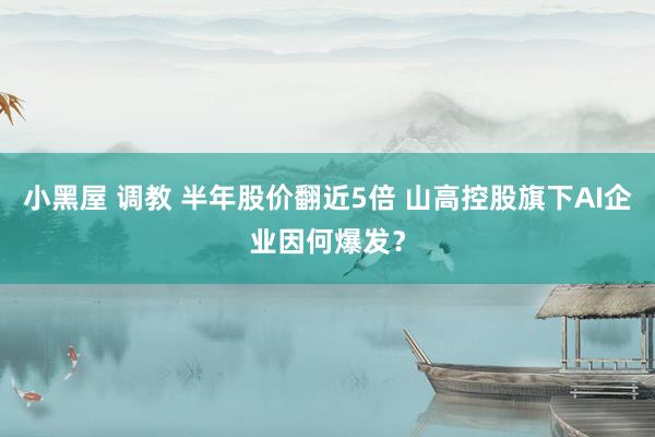 小黑屋 调教 半年股价翻近5倍 山高控股旗下AI企业因何爆发？