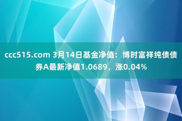 ccc515.com 3月14日基金净值：博时富祥纯债债券A最新净值1.0689，涨0.04%
