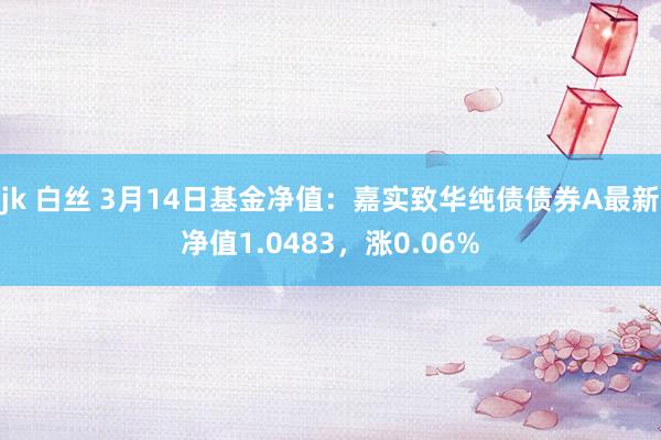 jk 白丝 3月14日基金净值：嘉实致华纯债债券A最新净值1.0483，涨0.06%