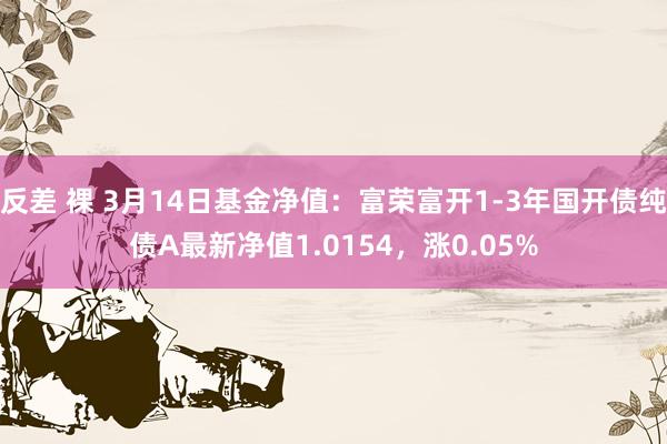 反差 裸 3月14日基金净值：富荣富开1-3年国开债纯债A最新净值1.0154，涨0.05%