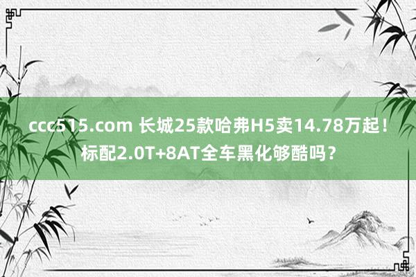 ccc515.com 长城25款哈弗H5卖14.78万起！标配2.0T+8AT全车黑化够酷吗？