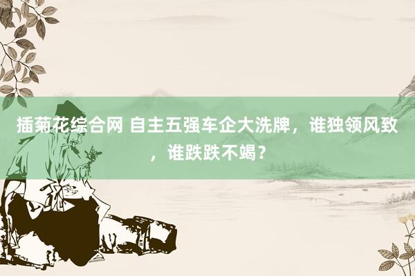 插菊花综合网 自主五强车企大洗牌，谁独领风致，谁跌跌不竭？