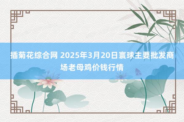 插菊花综合网 2025年3月20日寰球主要批发商场老母鸡价钱行情