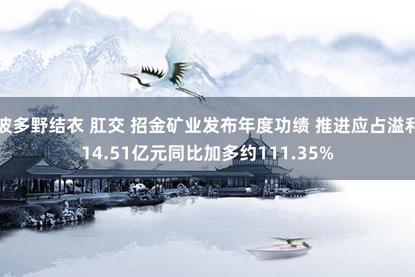 波多野结衣 肛交 招金矿业发布年度功绩 推进应占溢利14.51亿元同比加多约111.35%