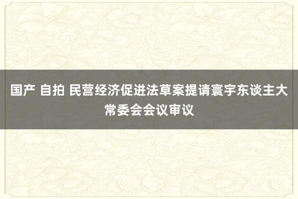 国产 自拍 民营经济促进法草案提请寰宇东谈主大常委会会议审议