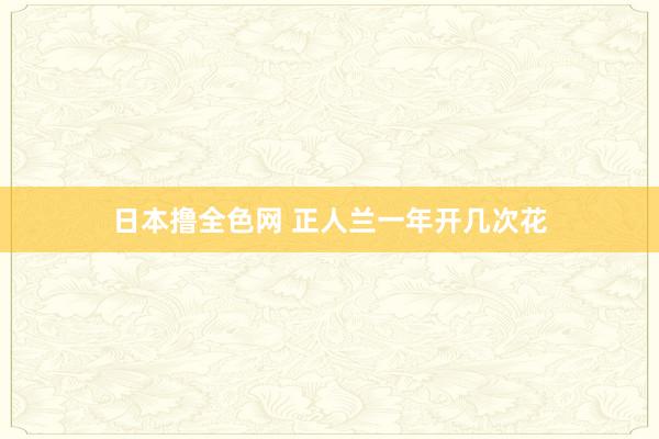 日本撸全色网 正人兰一年开几次花
