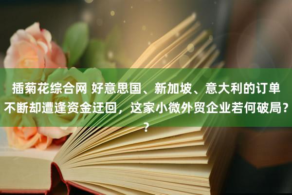 插菊花综合网 好意思国、新加坡、意大利的订单不断却遭逢资金迂回，这家小微外贸企业若何破局？
