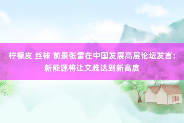 柠檬皮 丝袜 前景张雷在中国发展高层论坛发言：新能源将让文雅达到新高度