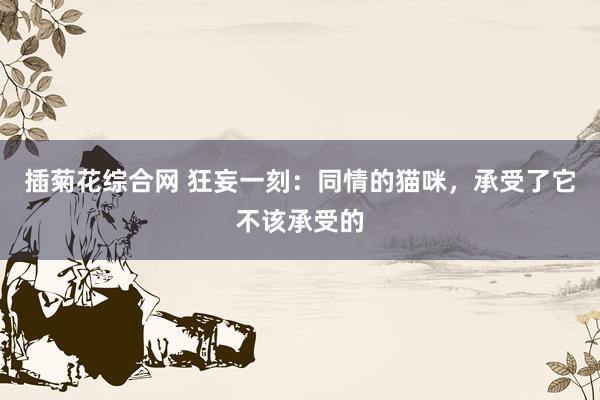 插菊花综合网 狂妄一刻：同情的猫咪，承受了它不该承受的