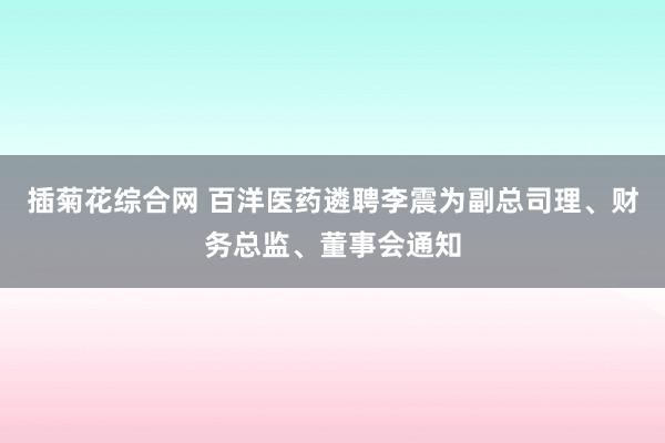 插菊花综合网 百洋医药遴聘李震为副总司理、财务总监、董事会通知