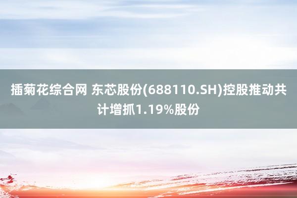 插菊花综合网 东芯股份(688110.SH)控股推动共计增抓1.19%股份