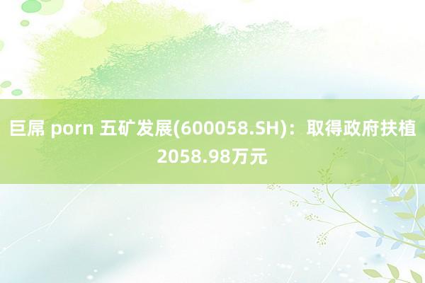 巨屌 porn 五矿发展(600058.SH)：取得政府扶植2058.98万元