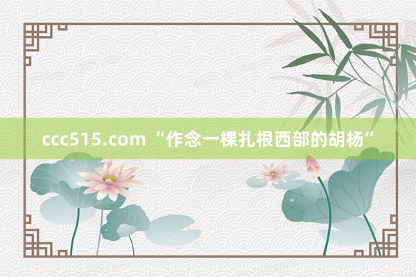 ccc515.com “作念一棵扎根西部的胡杨”