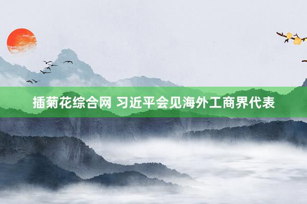 插菊花综合网 习近平会见海外工商界代表