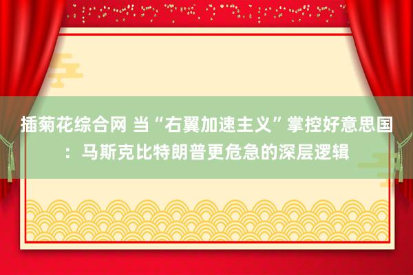 插菊花综合网 当“右翼加速主义”掌控好意思国：马斯克比特朗普更危急的深层逻辑