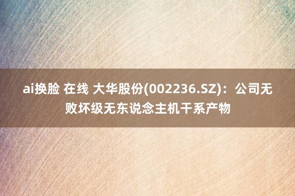 ai换脸 在线 大华股份(002236.SZ)：公司无败坏级无东说念主机干系产物