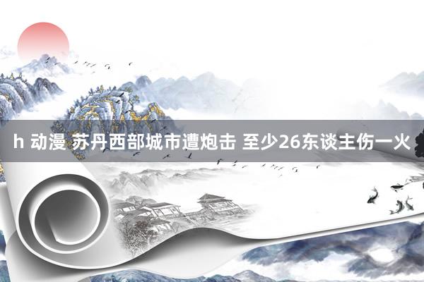 h 动漫 苏丹西部城市遭炮击 至少26东谈主伤一火