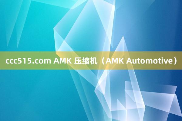 ccc515.com AMK 压缩机（AMK Automotive）
