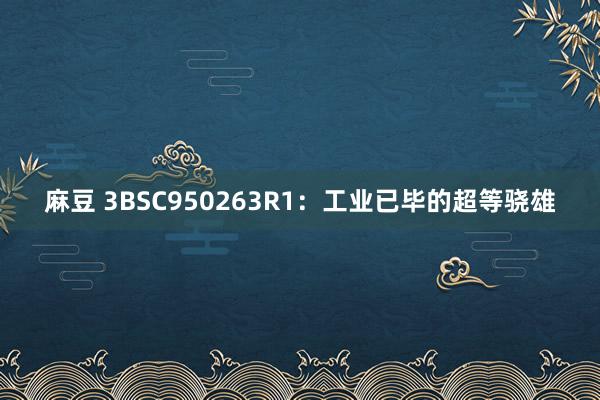 麻豆 3BSC950263R1：工业已毕的超等骁雄