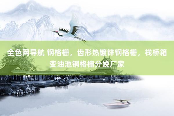 全色网导航 钢格栅，齿形热镀锌钢格栅，栈桥箱变油池钢格栅分娩厂家