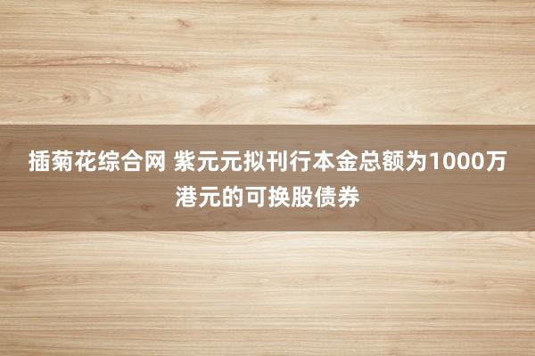 插菊花综合网 紫元元拟刊行本金总额为1000万港元的可换股债券