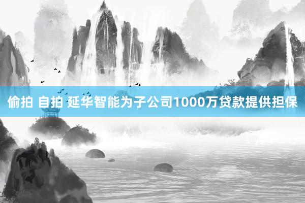 偷拍 自拍 延华智能为子公司1000万贷款提供担保