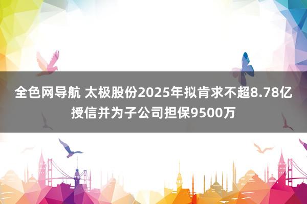 全色网导航 太极股份2025年拟肯求不超8.78亿授信并为子公司担保9500万