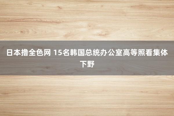 日本撸全色网 15名韩国总统办公室高等照看集体下野
