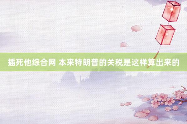 插死他综合网 本来特朗普的关税是这样算出来的