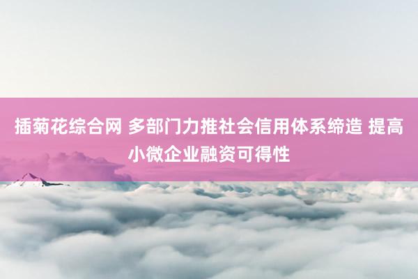 插菊花综合网 多部门力推社会信用体系缔造 提高小微企业融资可得性